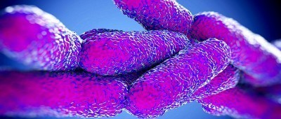 Legionella: l'invio telematico delle notifiche degli impianti di raffreddamento