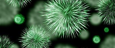 Legionella, un rischio da conoscere e gestire